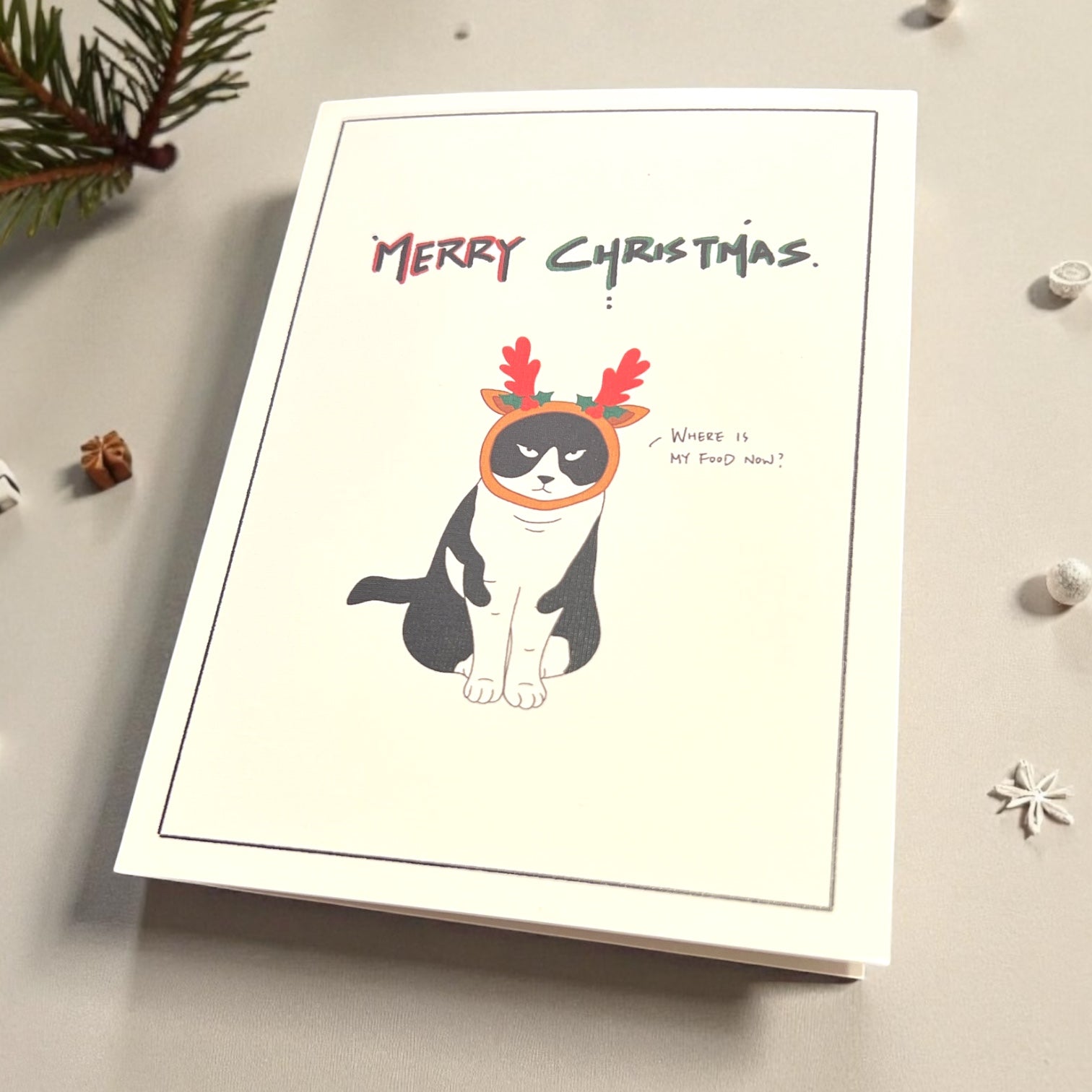 Christmas Card - Grumpy black and white cat (Envelope included) - Catnip