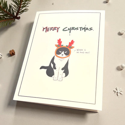 Christmas Card - Grumpy black and white cat (Envelope included) - Catnip