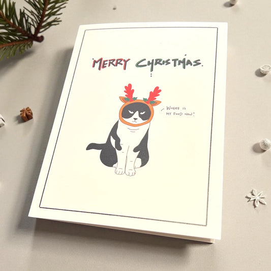 Christmas Card - Grumpy black and white cat (Envelope included) - Catnip