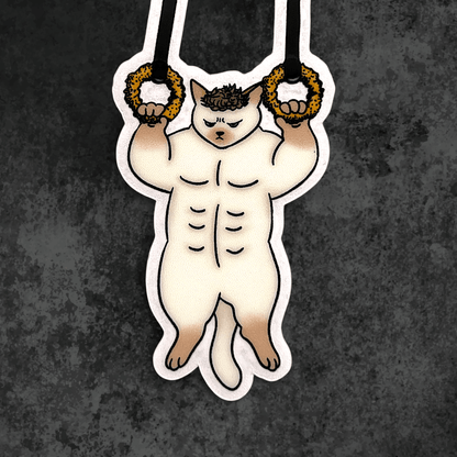 Gym cat sticker - Nick - Catnip