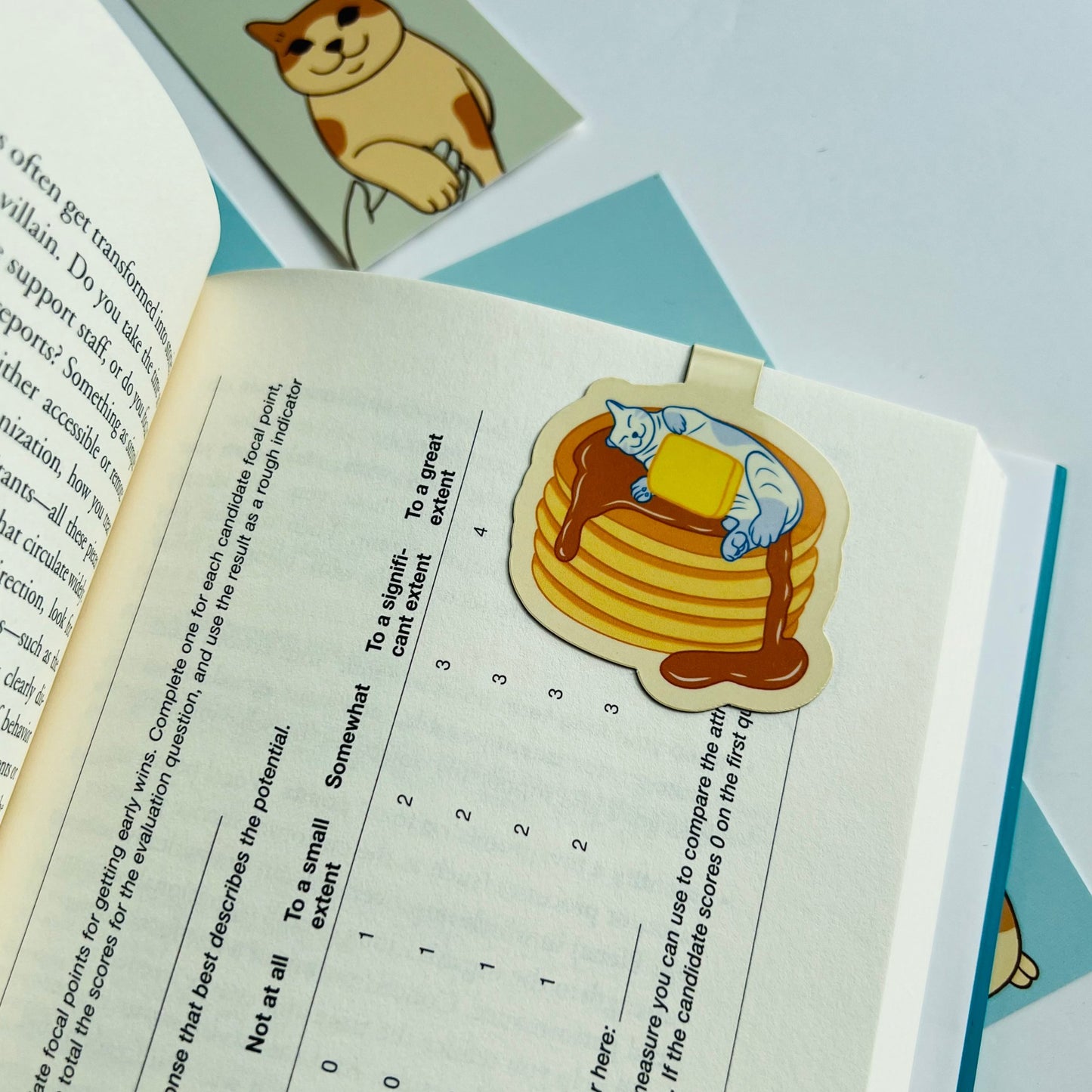 Pancat magnetic bookmark - Catnip