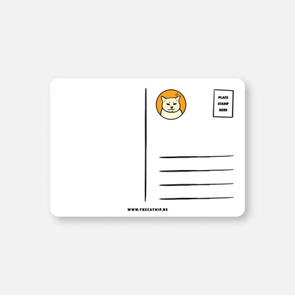 Postcard - Cat - fe latte - Catnip