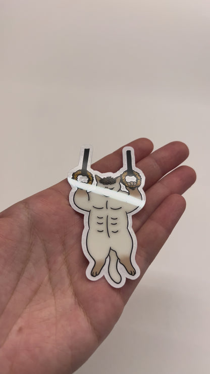 Gym cat sticker - Nick