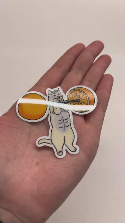 Gym cat sticker - Tom