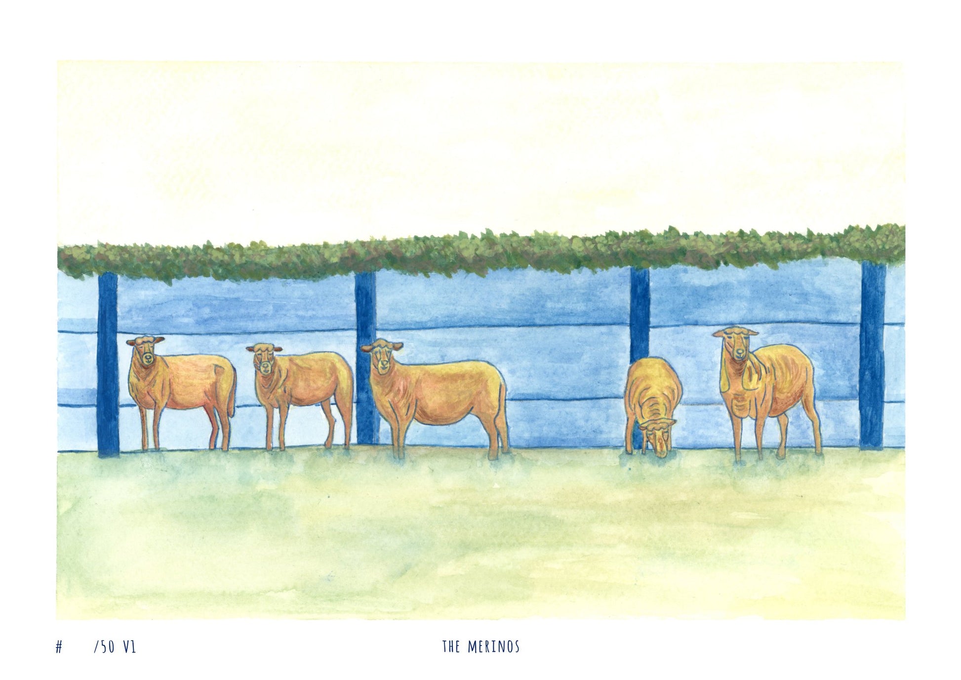 "The merinos" - Limited Edition Print - Christy Chan | Artist